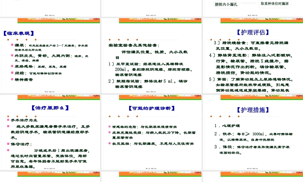 专科尿漏子宫脱垂(完整版).pptx