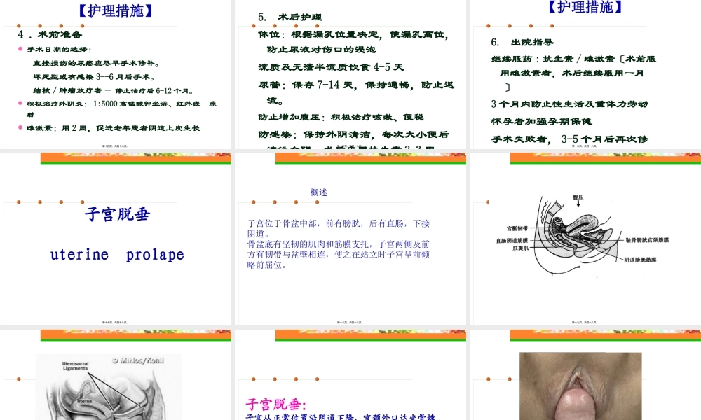 专科尿漏子宫脱垂(完整版).pptx