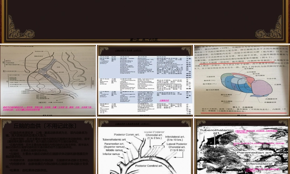 丘脑血供.ppt