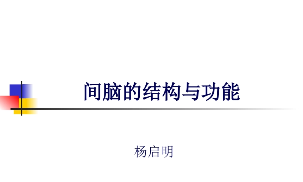 丘脑结构及功能---副本.pptx