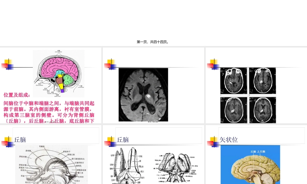 丘脑结构及功能---副本.pptx