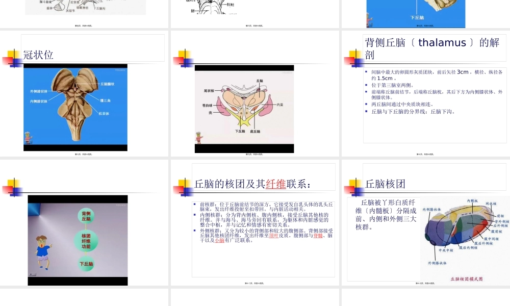 丘脑结构及功能---副本.pptx