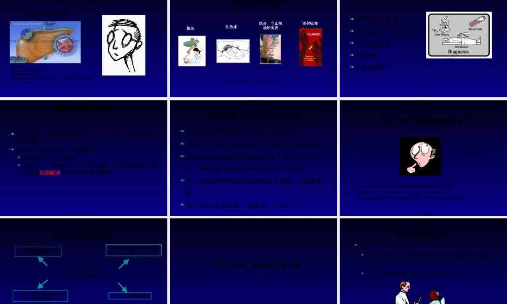 丙肝可治愈(精).pptx