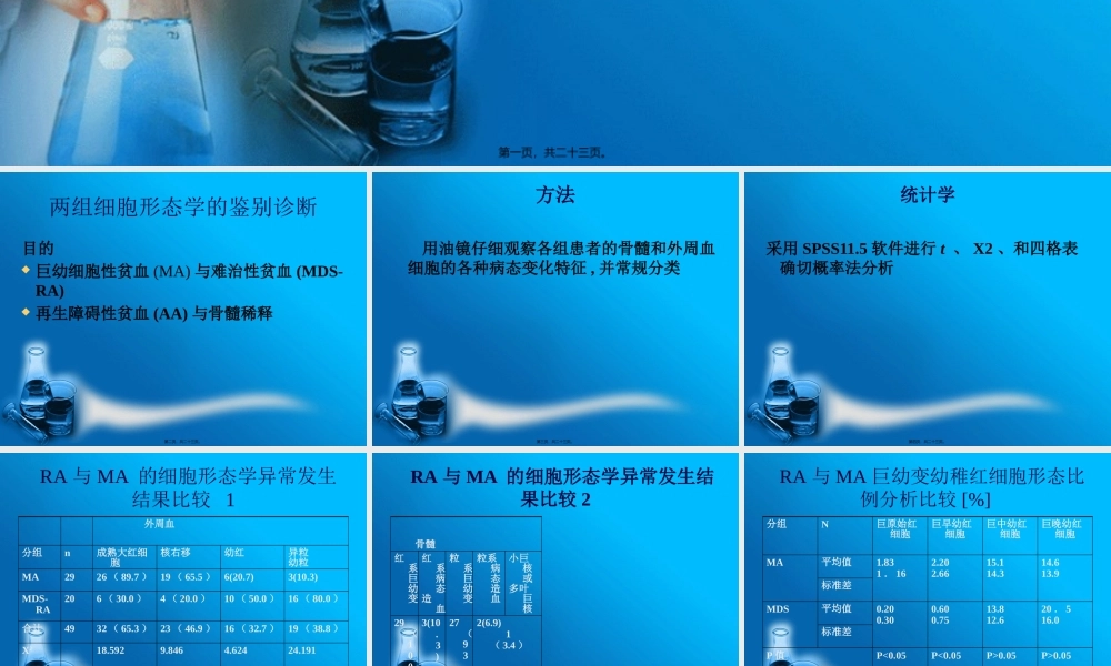 两组细胞形态学鉴别.pptx