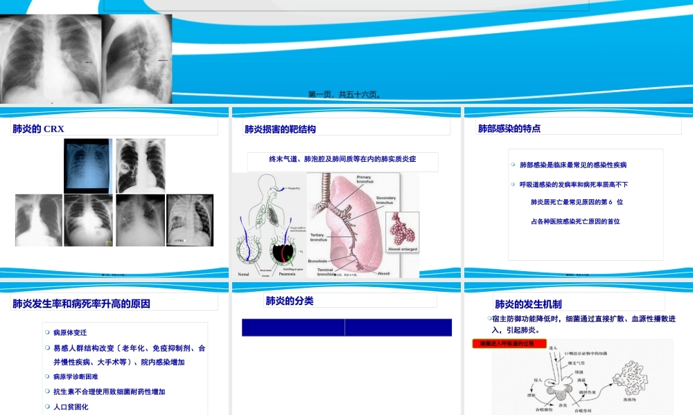 严重肺部感染诊治策略.pptx