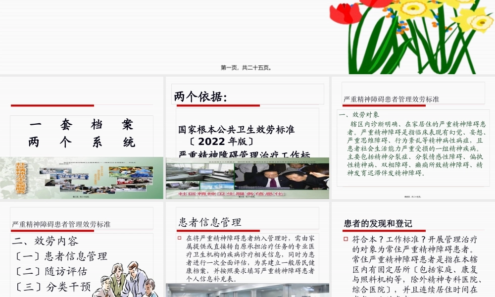 严重精神障碍.pptx