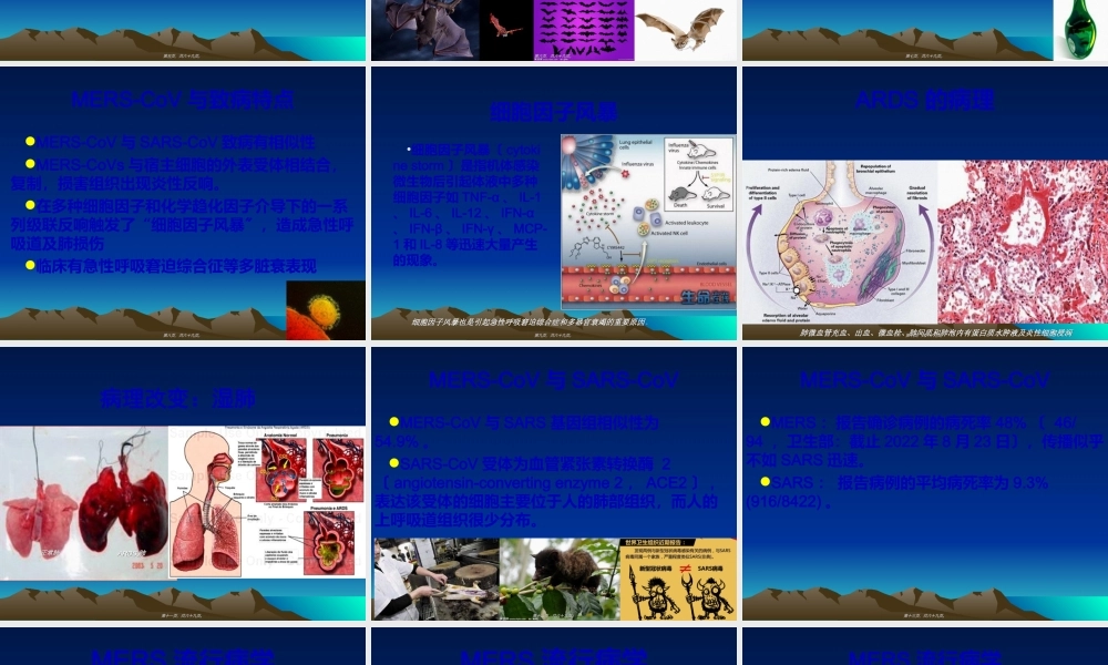 中东呼吸综合征(石家庄).ppt