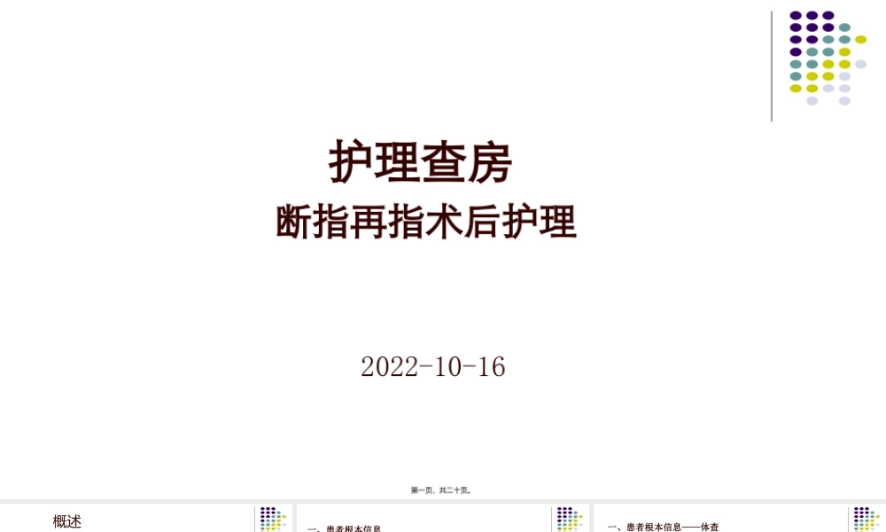 个案查房模板---副本.ppt