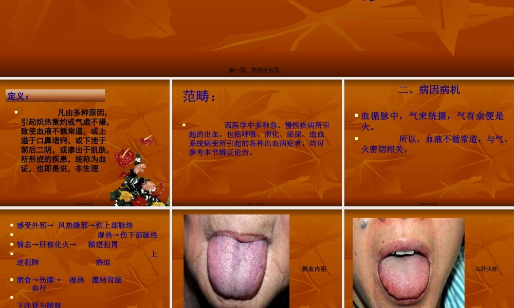 中内-血--证精讲.pptx