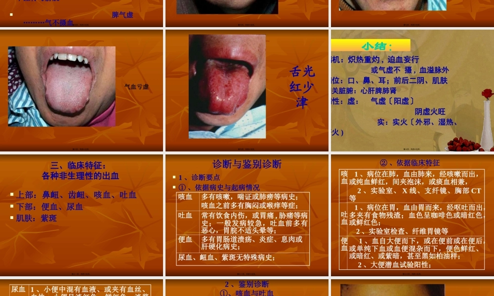 中内-血--证精讲.pptx