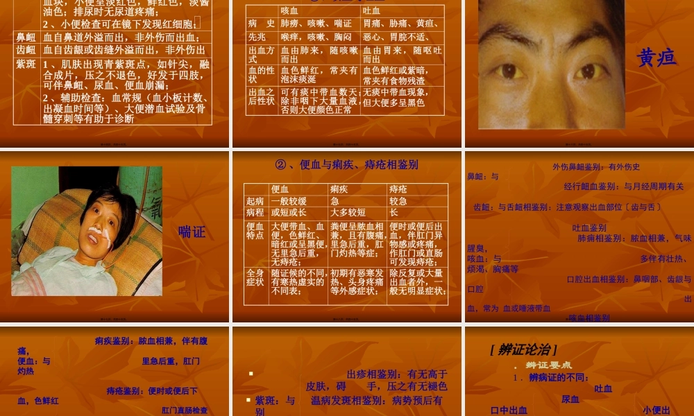 中内-血--证精讲.pptx