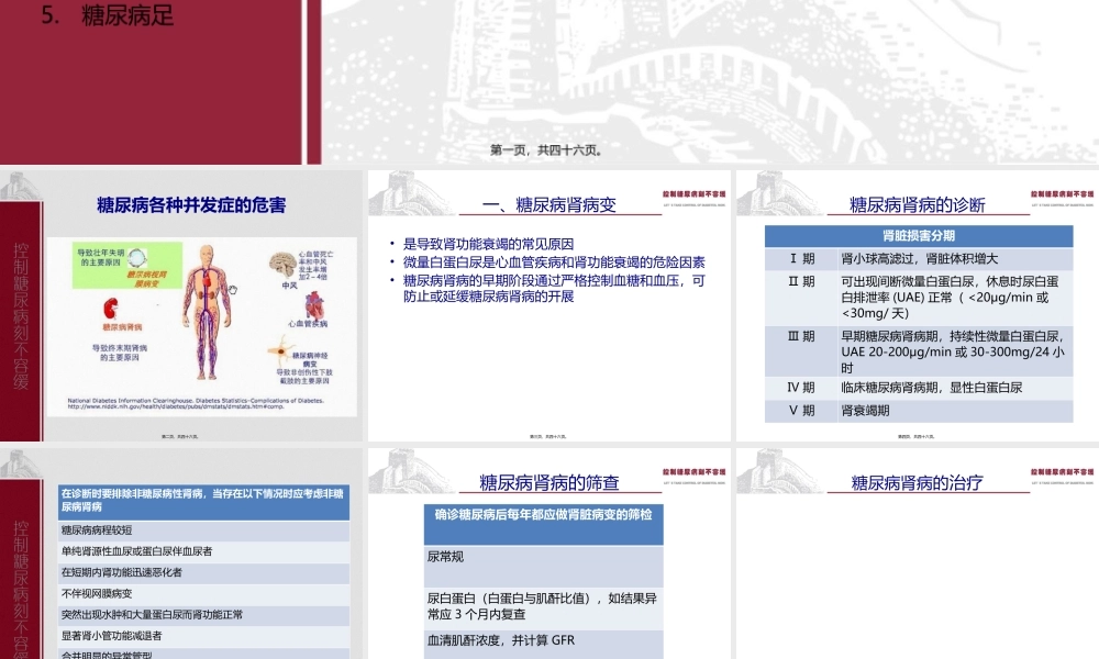 中国2型糖尿病防治指南Part7.pptx