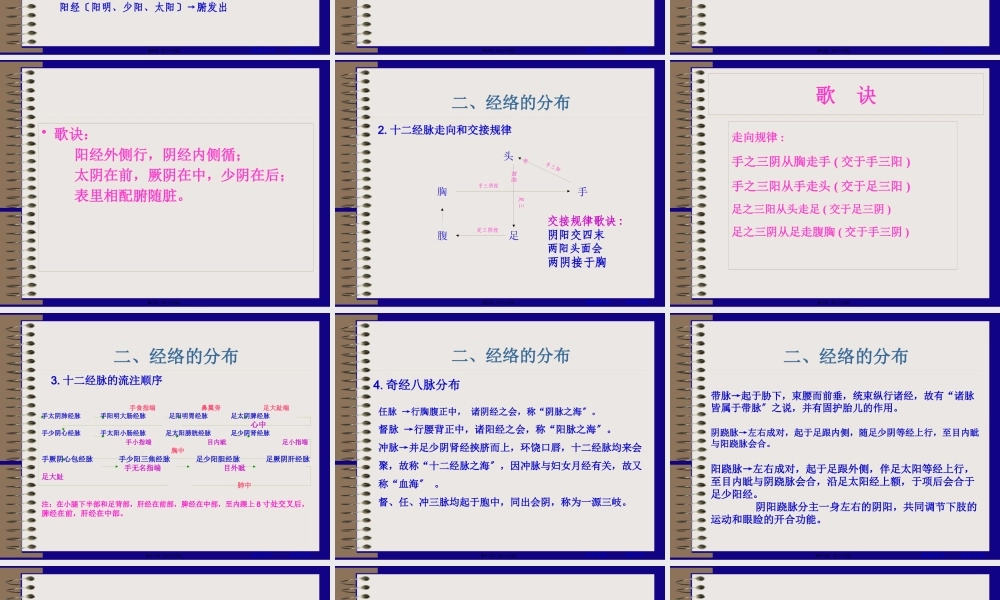 中国传统康复--经络.pptx