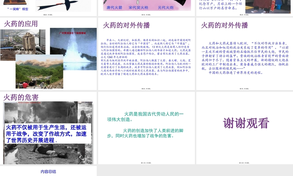 中国古代四大发明之——火药(知识产权作业ppt)剖析.pptx