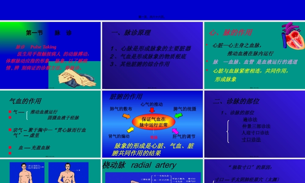 中国名医----刘会芳---教你把脉---脉诊---图文.pptx