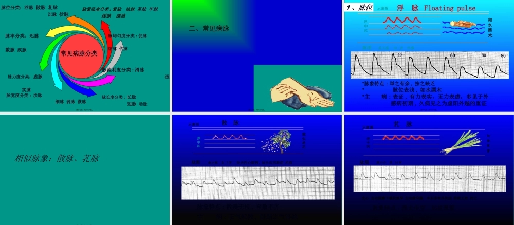 中国名医----刘会芳---教你把脉---脉诊---图文.pptx