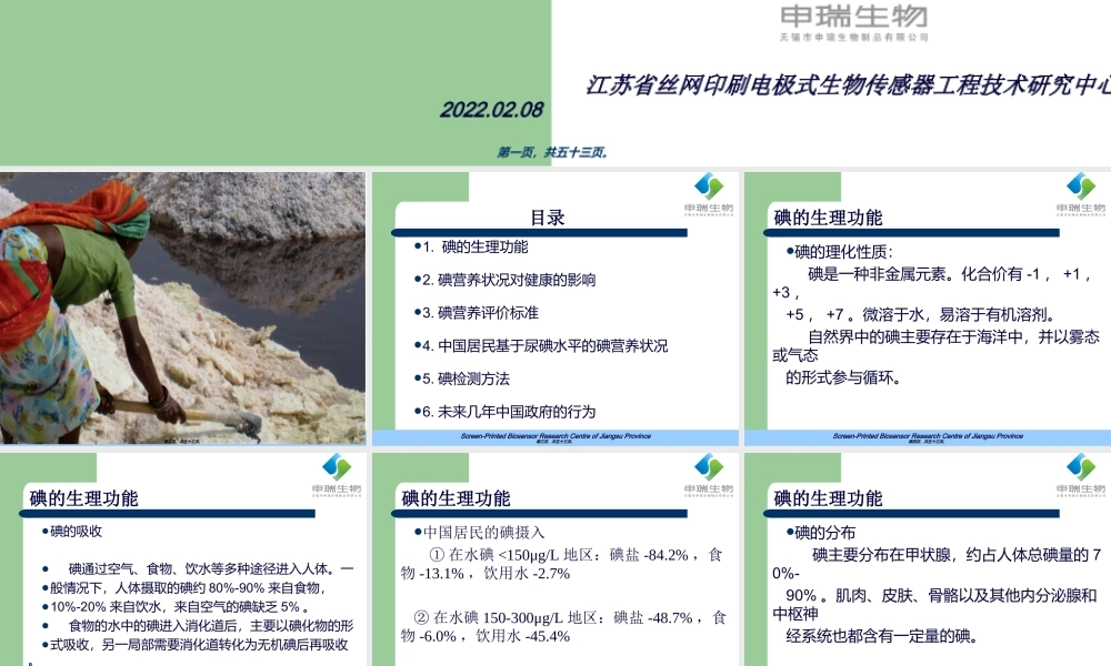 中国尿碘水平与检测标准.ppt