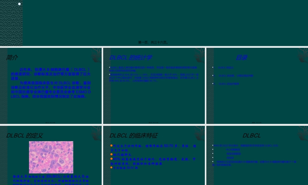 中国弥漫大B细胞淋巴瘤诊疗指南.ppt