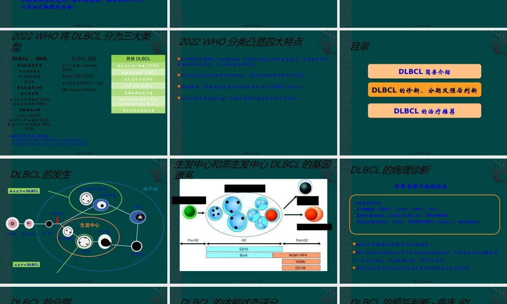 中国弥漫大B细胞淋巴瘤诊疗指南.ppt