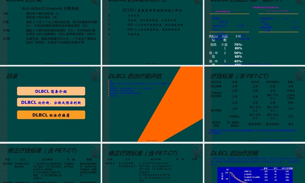 中国弥漫大B细胞淋巴瘤诊疗指南.ppt