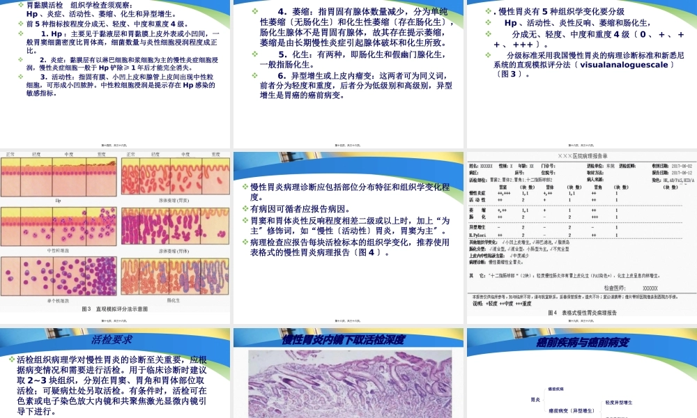 中国慢性胃炎共识意见2017解读.pptx