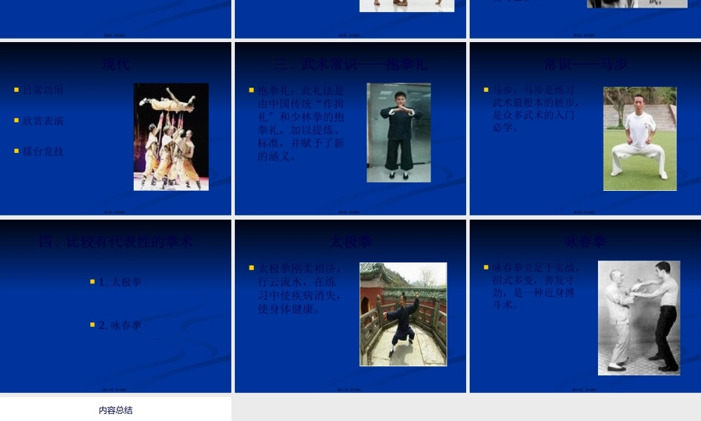 中国武术简介.pptx