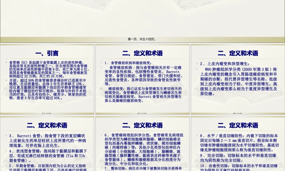 中国早期食管癌筛查及内镜诊治专家精讲.pptx