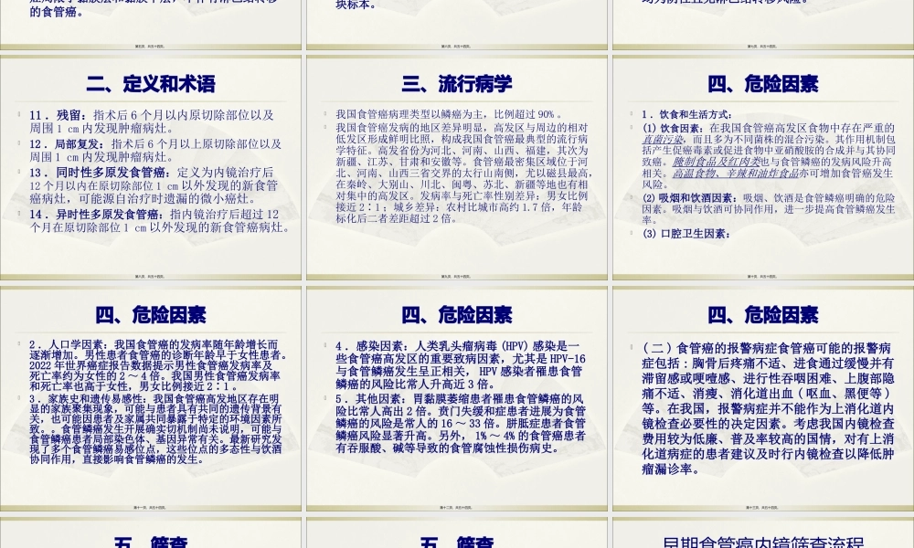 中国早期食管癌筛查及内镜诊治专家精讲.pptx