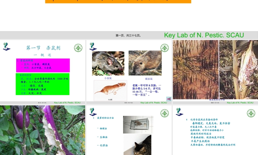 中国植物源农药的进展.pptx