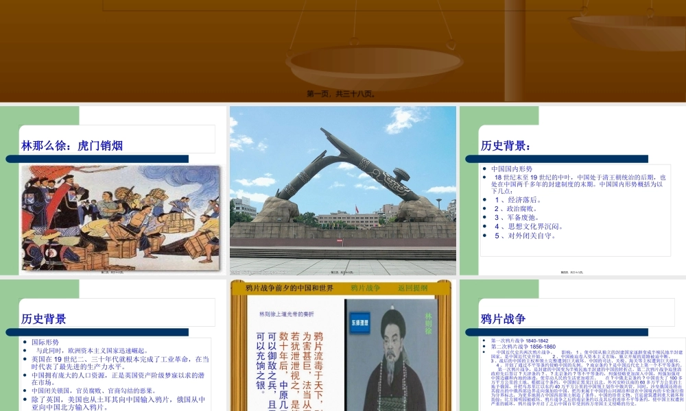 中国禁毒史..pptx