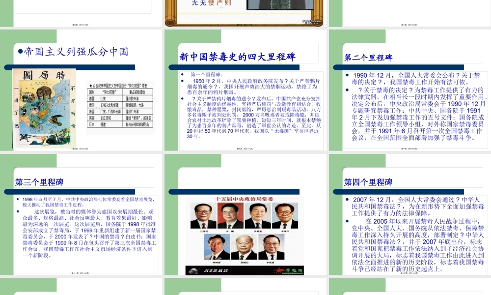 中国禁毒史..pptx