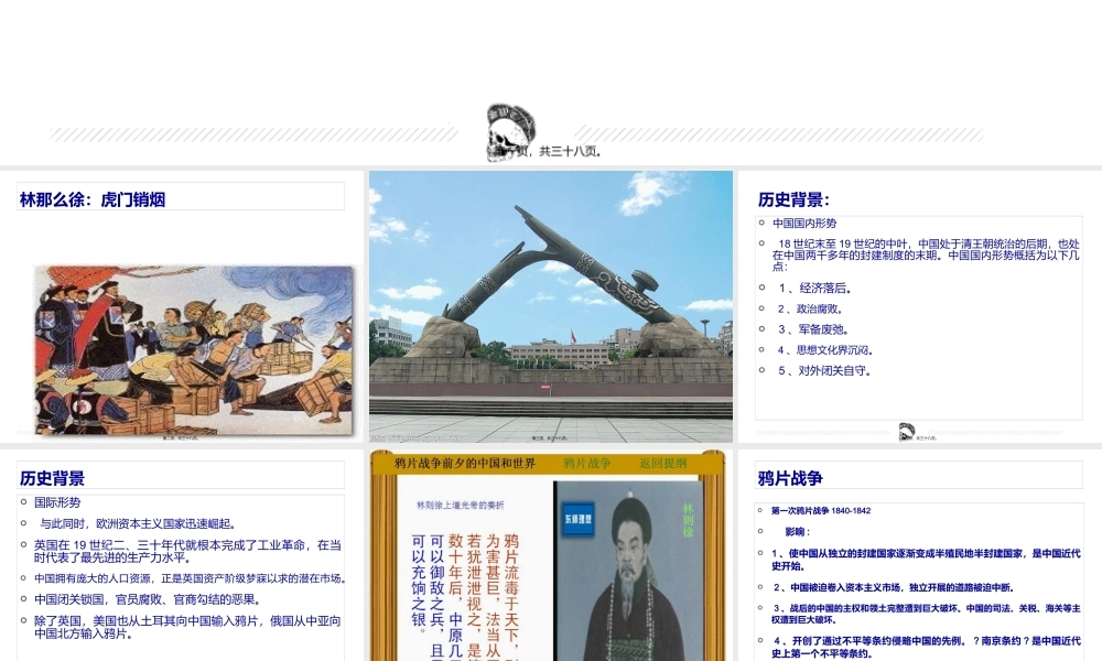 中国禁毒史.pptx