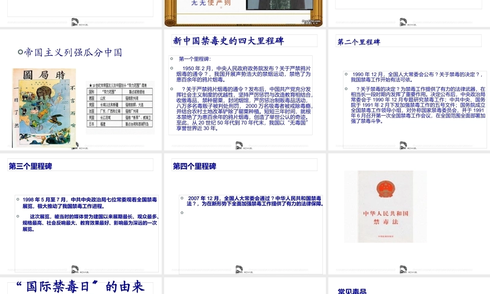 中国禁毒史.pptx