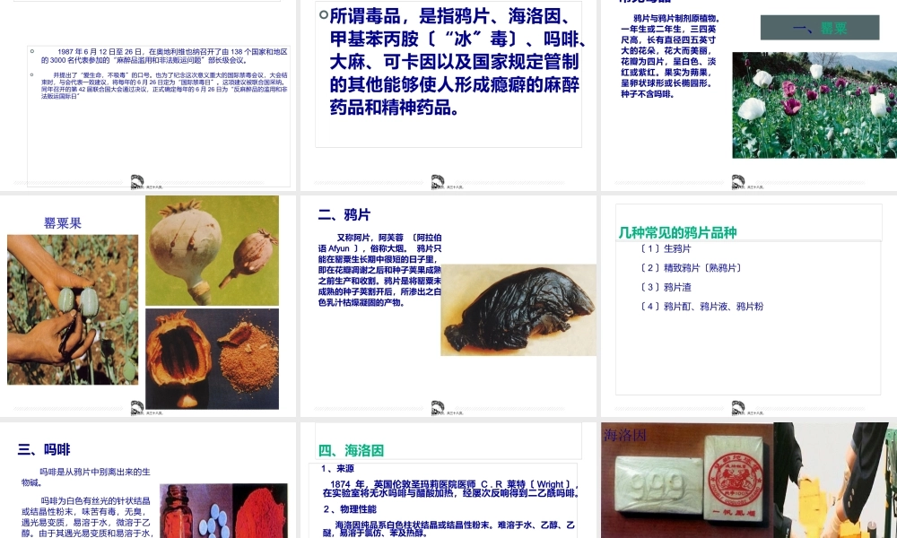 中国禁毒史.pptx