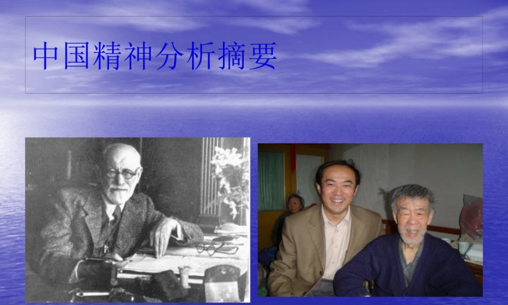 中国精神分析摘要.pptx
