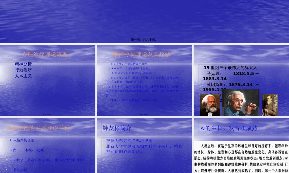 中国精神分析摘要.pptx