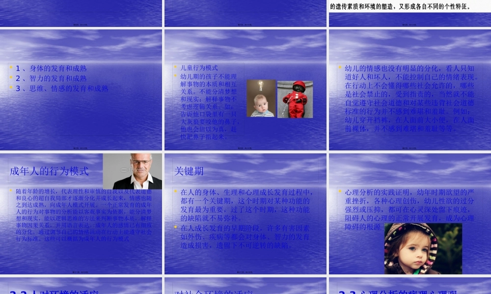 中国精神分析摘要.pptx