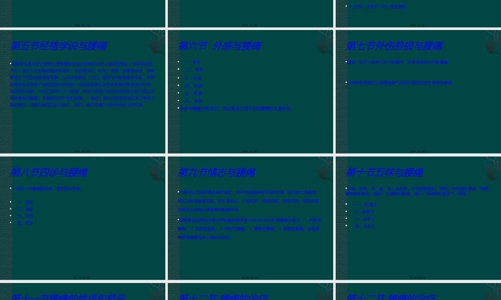 《黄帝内经》与腰痛基础理论.ppt