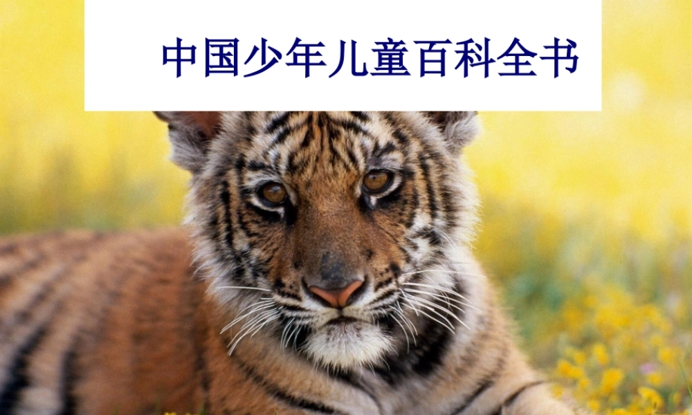 中国少年儿童百科.pptx