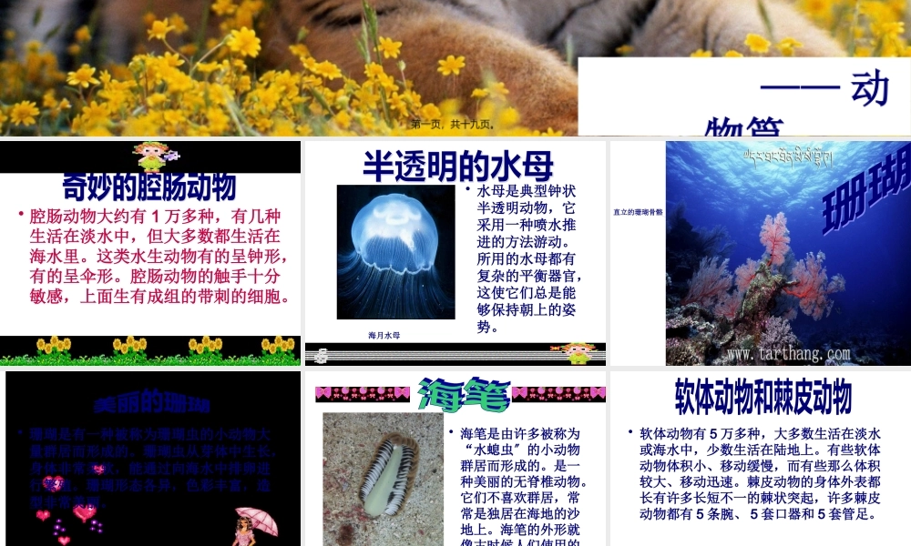 中国少年儿童百科.pptx