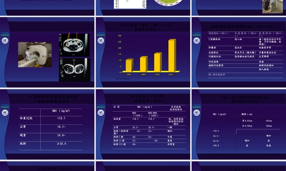 中国糖尿病防治指南第04讲.pptx
