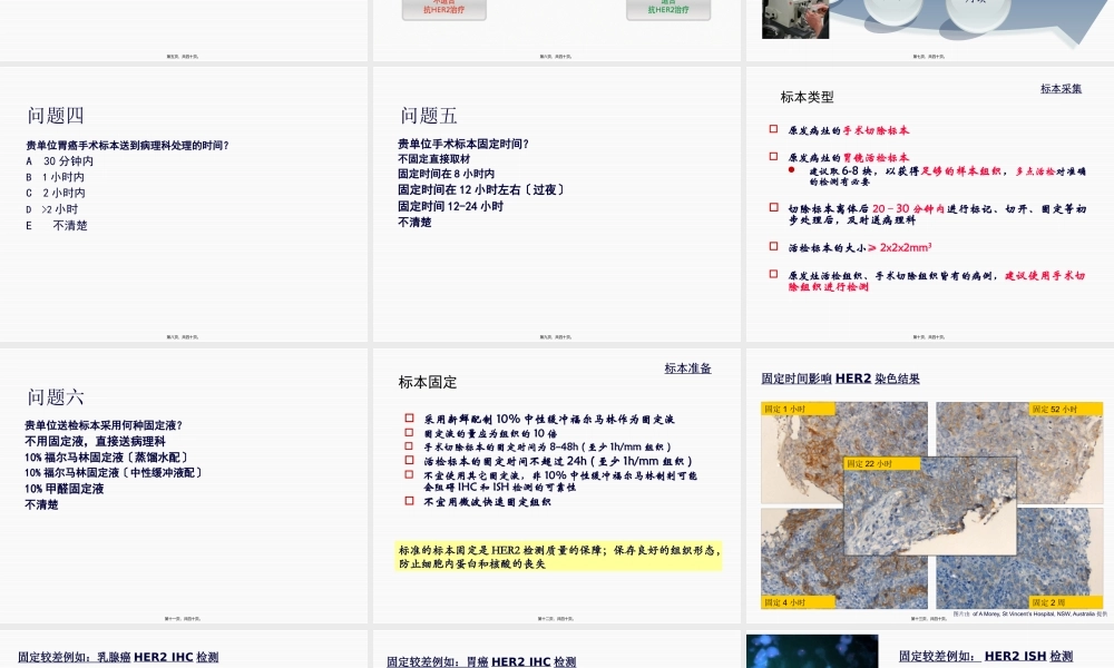中国胃癌HER2检测-指南解读-郑杰.pptx