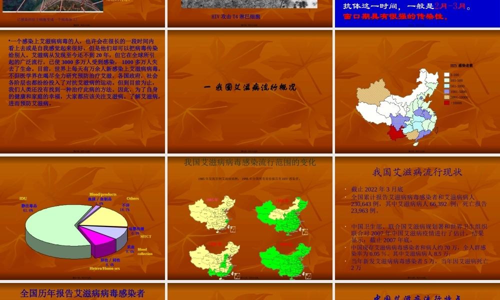 中国艾滋病介绍.pptx