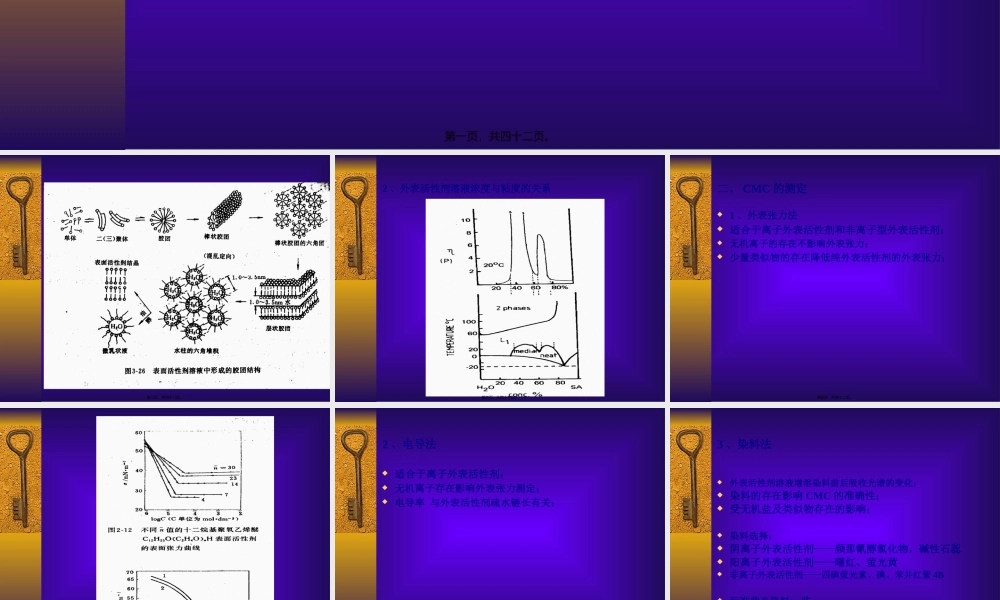 中国药科大学研究生药剂学-表面活性剂.pptx
