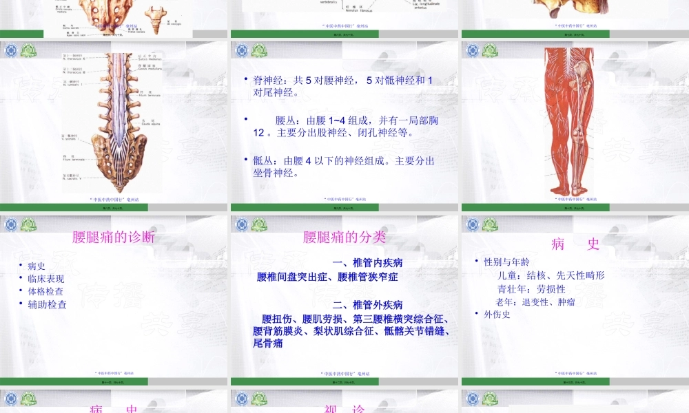 中国行医生讲座-模板(腰)刘德玉.pptx