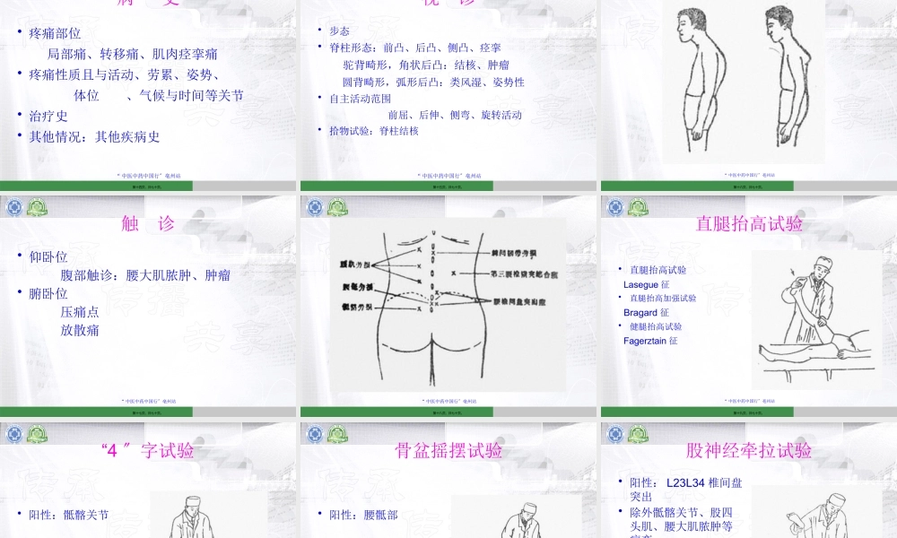 中国行医生讲座-模板(腰)刘德玉.pptx