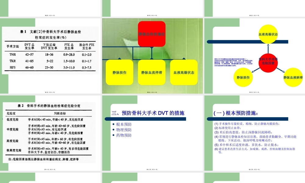 中国骨科大手术静.pptx