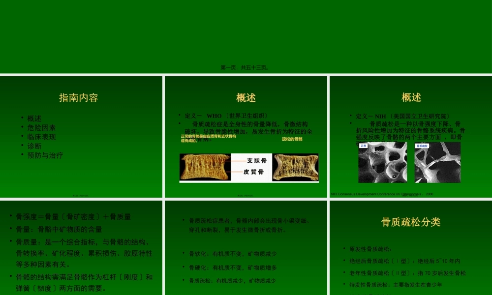 中国骨质疏松诊治指南(新)ppt.pptx