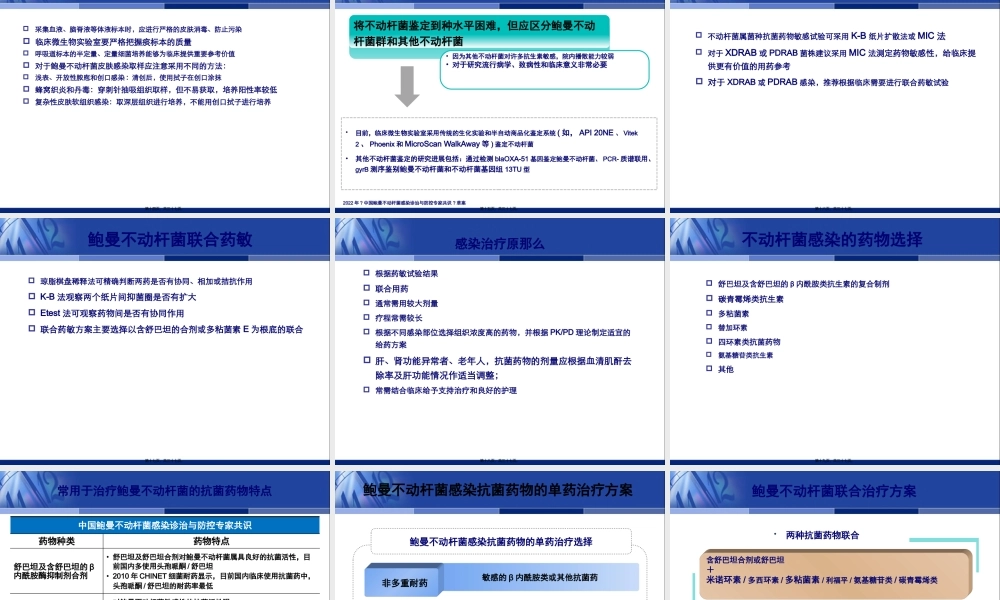 中国鲍曼不动杆菌感染诊治与防控专家.pptx