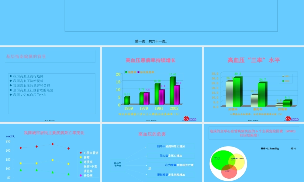 中国高血压防治指导2010版-2.pptx